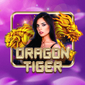 Dragon Tiger spintime ph game